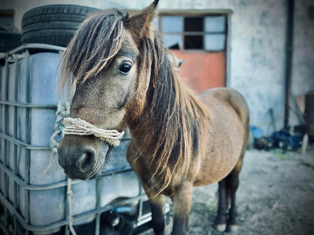 Jula (4).jpeg